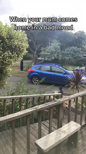 Navigating Your Mom's Bad Mood at Home