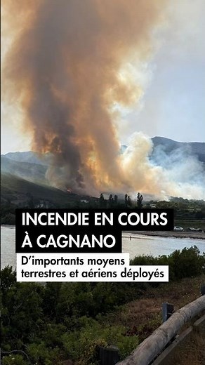Incendie en cours à Cagnano : d'importants moyens terrestres et aériens déployés
