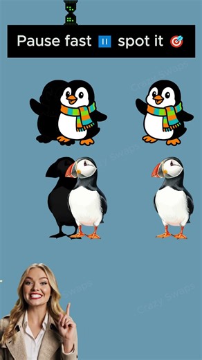 Penguin vs Puffin Swap Test | Crazy Swaps Matching Challenge NO.12 | Crazy Swaps #crazyswaps