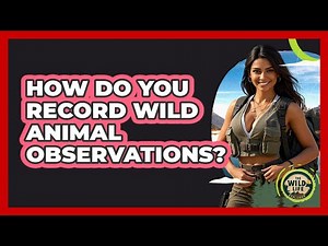 How Do You Record Wild Animal Observations?