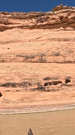 Wingate Sandstone along the Colorado River. These Are Ancient Dunes! #colorado #rafting