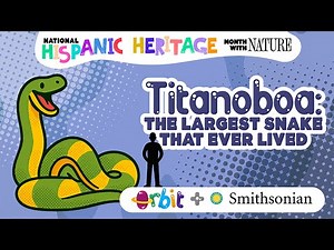 Titanoboa: The largest snake that ever lived