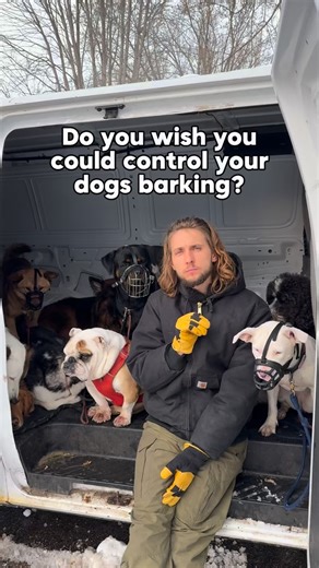 Cherry Hoggs | Dog Training on Instagram: "Barking is natural! It’s one of the most important ways dogs communicate. The history of the domestication of dogs is thought (although we’ll never know fully) humans took in wolves to alert danger. This is even seen in other animals. There are baboons 🐒 that steal dogs, feed them. They keep them in the camp so they’ll bark to alert danger so they can sleep! 🤯 Energy is their main form of communication, but some barking🗣 is normal. It can be: 🥷 A fo