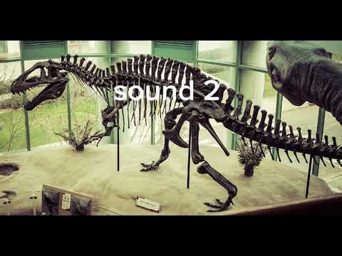 Acrocanthosaurus sound reconstruction