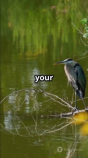 Before vs After: AI Voice Cloning with ElevenLabs!