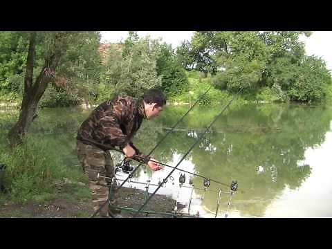 Pêche à la carpe-explication-HD-16.9