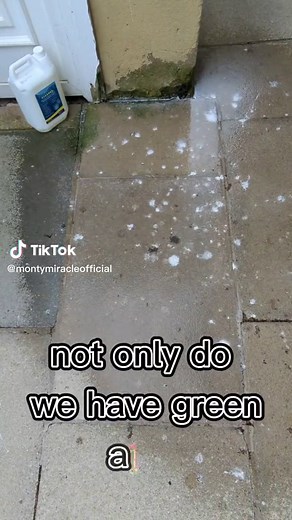 Effective Bird Dropping Removal and Algae Cleaning Solution