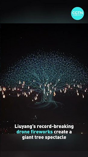 Liuyang’s record-breaking drone fireworks create a giant tree spectacle