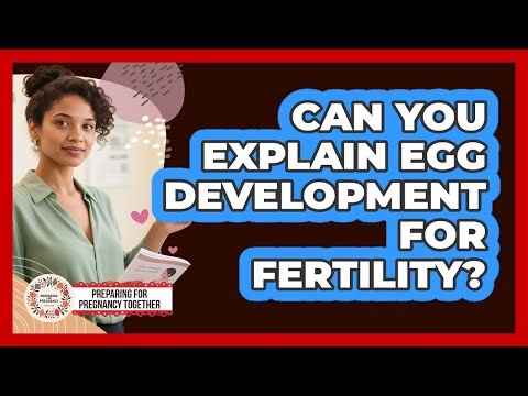 Can You Explain Egg Development For Fertility?