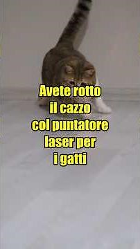 Laser Pointer is HARMLESS to Cats