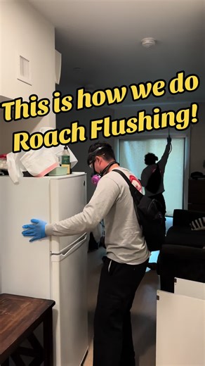 This video we will show you the process of how we do the entire flushing of roaches.#rumblefishpestcontrol #pestcontrolservices #flushing #roaches #how #pestcontrolLosAngeles #pestcontroller #rumblefishtechnician #skidrow