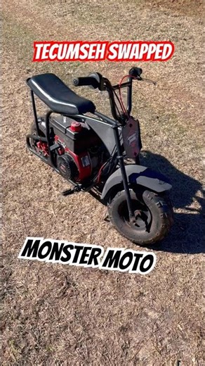 Tecumseh Swapped Monster Moto 80