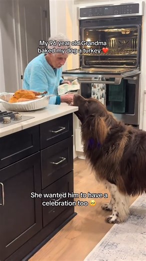 Doggos Doing Things on Instagram: "He’s so gentle 🥹🍗 @chewythenewfoundland"