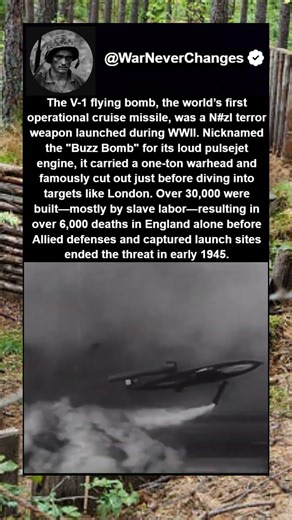 The Worlds First Cruise Missile #shorts