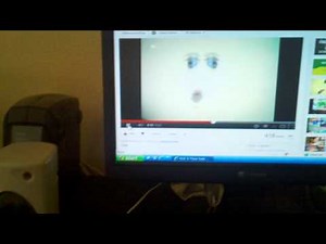 Nick jr face eats a banana + makes monkey sounds