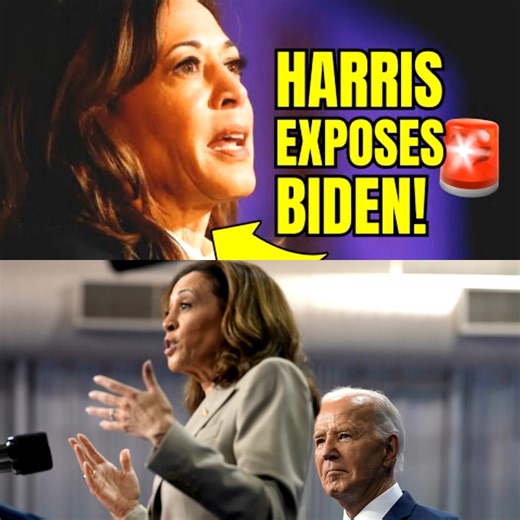 🚨Kamala Harris Just UNLOADED On Biden in Her New Memoir See more: https://rb.colofandom.com/0j26 Washington, D.C. — The Democratic Party is reeling after the release of explosive excerpts from Vice President Kamala Harris’s upcoming memoir, “107 Days.” In a jaw-dropping turn, Harris breaks her silence on the Biden presidency, launching a bold critique that has set Capitol Hill ablaze and left the party deeply divided. | Chemistry