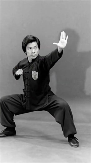 Wong Jack Man challenges Bruce Lee #brucelee #bruceleefan #wongjackman
