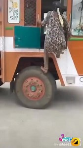 நமது தமிழ் பெண்ணின் திறமையை பாராட்ட நினைத்தால் அனைவர்க்கும் பகிருங்கள் 🙏🙏பெண்களை மதிப்போம் திறமைக்கு வாய்ப்பளிப்போம் | Tamil Videos