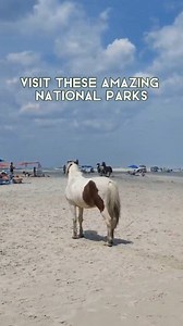 83K views · 278 reactions | 5 Bucket List National Parks to visit this year - with driving time from Michigan included! #nationalpark #nationalparksusa #nationalparks #michiganders #michigantravel | Cassondra Wanders | Facebook