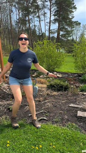 🚫✋ Morning glory/ Bindweed invasion? Don’t pull. SNIP. ✂️ Here’s the hard-earned truth from someone who’s been battling this patch for years: morning glories have an incredibly strong, aggressive root system. When you pull them, those roots snap—and every broken piece can become a brand new plant. That’s literally how they survive. Pulling = multiplying = gardening nightmare. This is exactly why snipping at the base works better. When I was pulling, I made the problem 10x worse. Once I switched