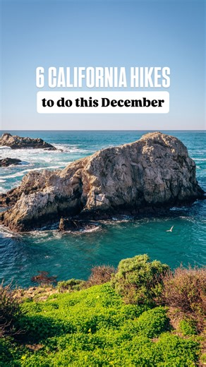 📎 Save this for your December adventures!⁠ ⁠ 💬 Comment “HIKES” to receive a link to our Bucket List California Map & Guide — it includes all of these hikes and nearly 200 others around the state!⁠ ⁠ December brings crisp coastal air 🌊, quiet redwood groves after winter rains 🌧️, and some of the clearest ocean views of the year 🌅. Here are some of our favorite California hikes to do this month: ⬇️⁠ ⁠ 🌲 Pfeiffer Falls⁠ 📍 Pfeiffer Big Sur State Park⁠ - Big Sur 🥾 1.6mi / 436ft 🔺⁠ 🐶 Not dog