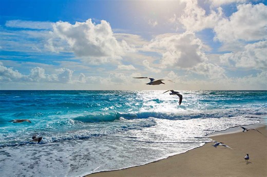 This Is the No. 1 Beach in the U.S. Southeast—and It Has Some of the Bluest and Clearest Waters in the Nation