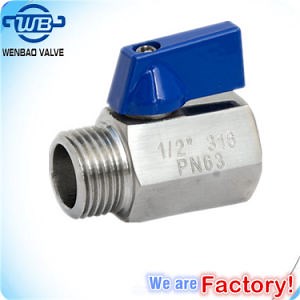 [Hot Item] NPT Female X Male Pn63 304 316 Stainless Steel Mini Ball Valve