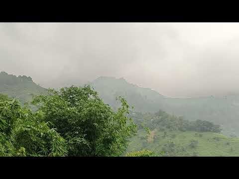 English Android App Installer : 👍 Good stream | Playing Solo | Streaming with Turnip