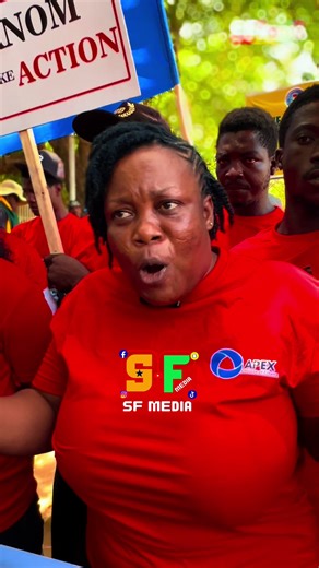 We are sick and tired of Nigerians, we cannot stay with prostitutions, k!dnappers, fraudstars, armed rubbers, they should go and fix their country - Nyonam, APEX Citizens of Ghana voiced out #trending #viralvideo #ghanatiktok🇬🇭 #protest #demonstration