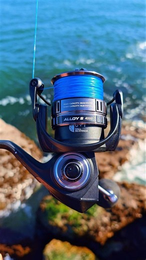 THIS Reel Catches LINGCOD!