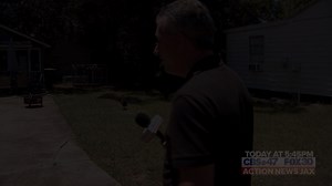 7.2K views · 25 reactions | “I feel like we’re surrounded!” Families can’t get rid of unwelcome birds in their neighborhood. | TODAY at 5:45 PM on CBS47 & FOX30 | Action News Jax | Facebook