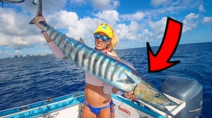 29K views · 2.2K reactions | Trolling for Wahoo & Tuna in South Florida! (catch & cook BBQ) LOVE IT when a plan comes together (finally lol)! After several failed attempts we nailed our target species and a great bonus fish out of Boynton. :) | Darcizzle Offshore | Facebook