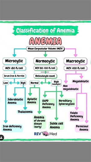 Classification of anemia chart - This information is something that should be known by all of us. 🩺 #MedTech #MedEd #Anemia #Medical #MedStudent #MedicalResearch #MedNews #MedReporter #Medintel #MedBuzz #SmartNews #Health #HealthNews #MedicalResearch #MedReport