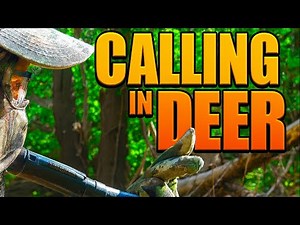How to CALL IN DEER using The Extinguisher Deer Call