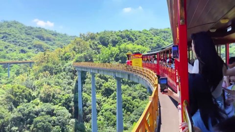 Scenic Forest Train in China: Ride Through Stunning Nature!