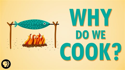 Why Do We Cook? | WHYY