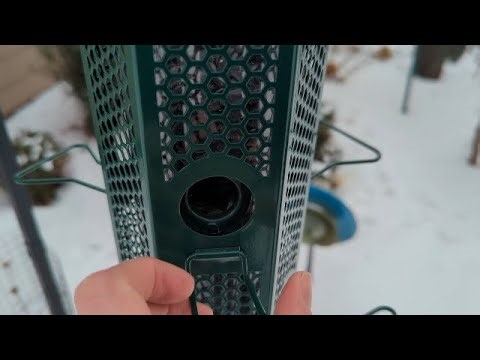 Squirrel-Proof Bird Feeder Review Squirrel Proof Bird Feeders with Removable Base, Metal Wild Bird F