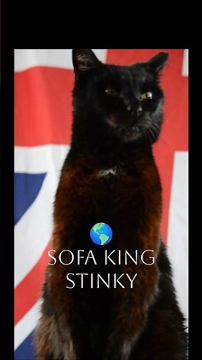 World Sofa King Stinky [2k]
