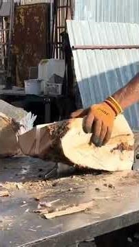 Monster Log Splitter 💥 Wood Explodes in Seconds