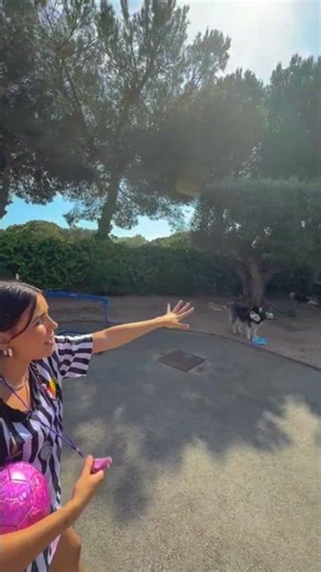 The Máximo cheerleaders 👯‍♀️