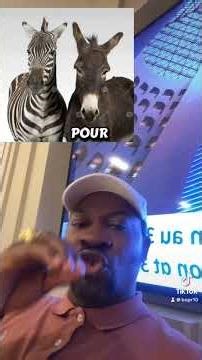 Le zèbre et l’âne