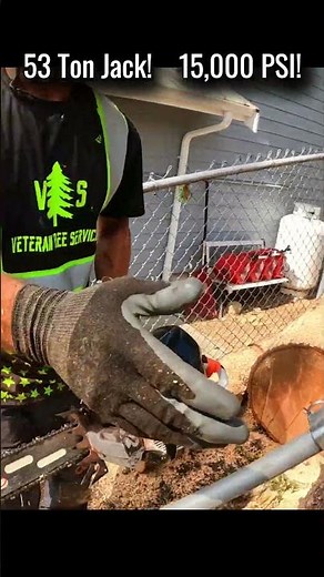 Secret Tool For Tree Felling!