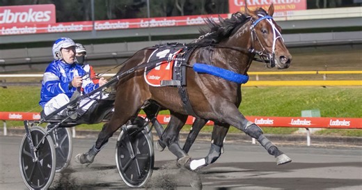 Inter Dominion legend backs Brisbane series home :: Racing Queensland