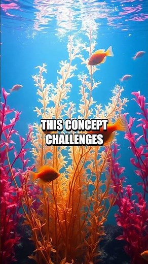 The Astonishing Power of Water Memory