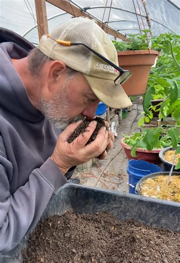 Composted Chicken Manure: Gardening Tips for Healthy Plants