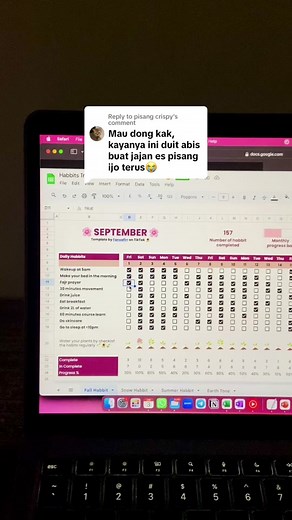 Template Excel Spreadsheet for Habbit Tracker and Financial Planning