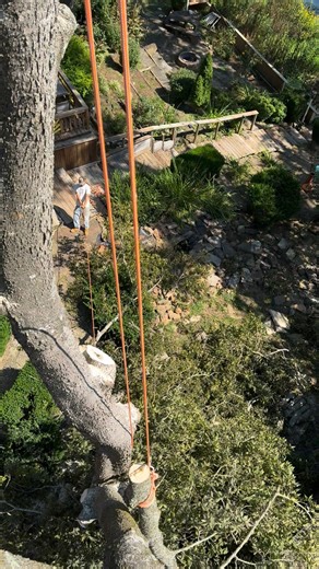 Tim Richards on Reels