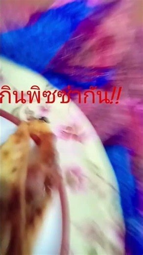 13 มิถุนายน ค.ศ. 2026