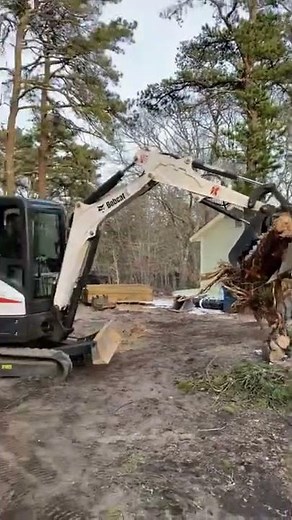 Moving a stump Bobcat E26