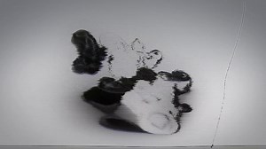 SCIENCE CHANNEL NETWORK IDENT